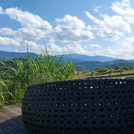 The View